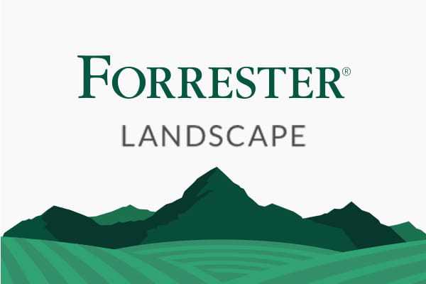 Forrester Landscape